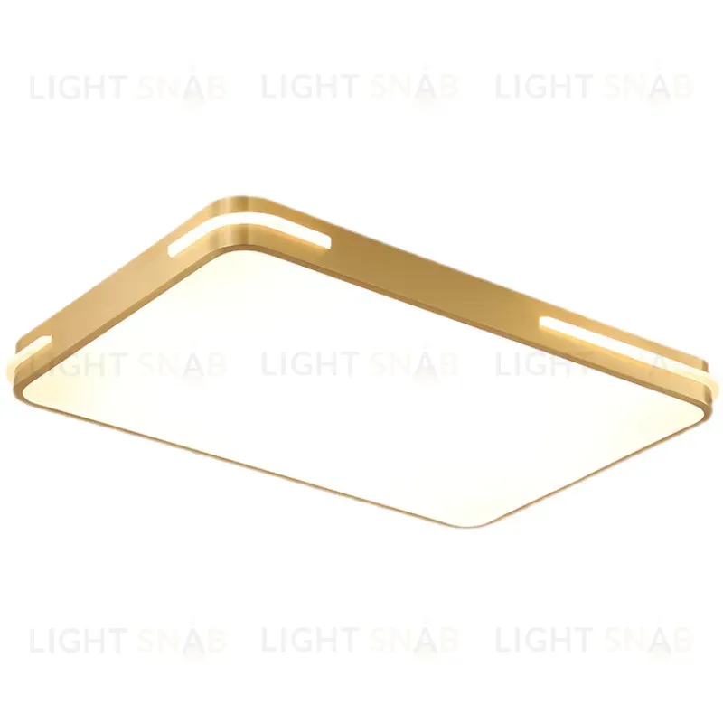 Потолочный светильник INESS RECT TH6002