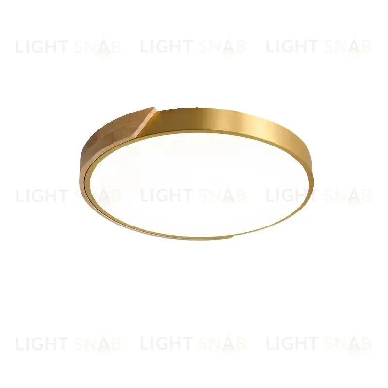 Потолочный светильник WERDE TH6020