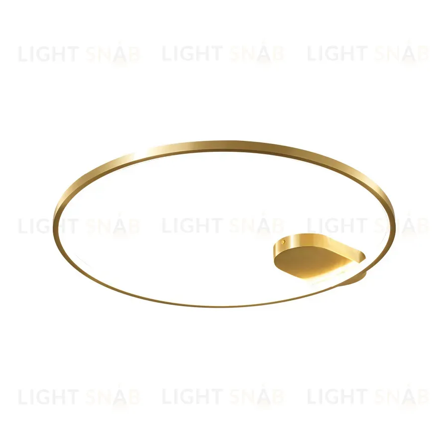 Потолочный светильник VICCE PT81042-1C