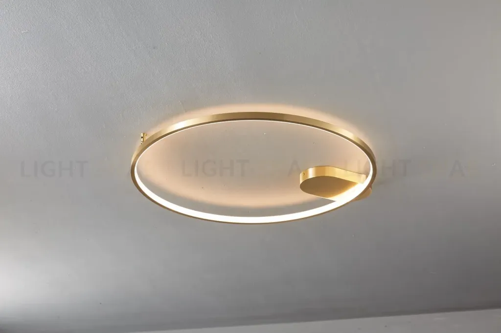 Потолочный светильник VICCE PT81042-1C