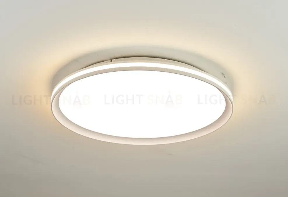 Потолочный светильник AERO LX220801