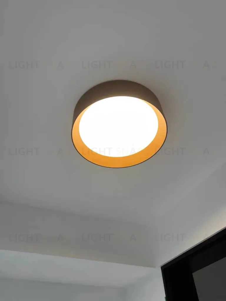 Потолочный светильник VIBIA 9493C