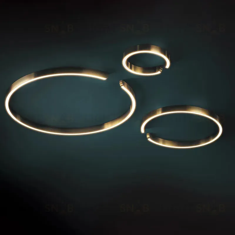 Потолочный светильник OPEN RING PT2939