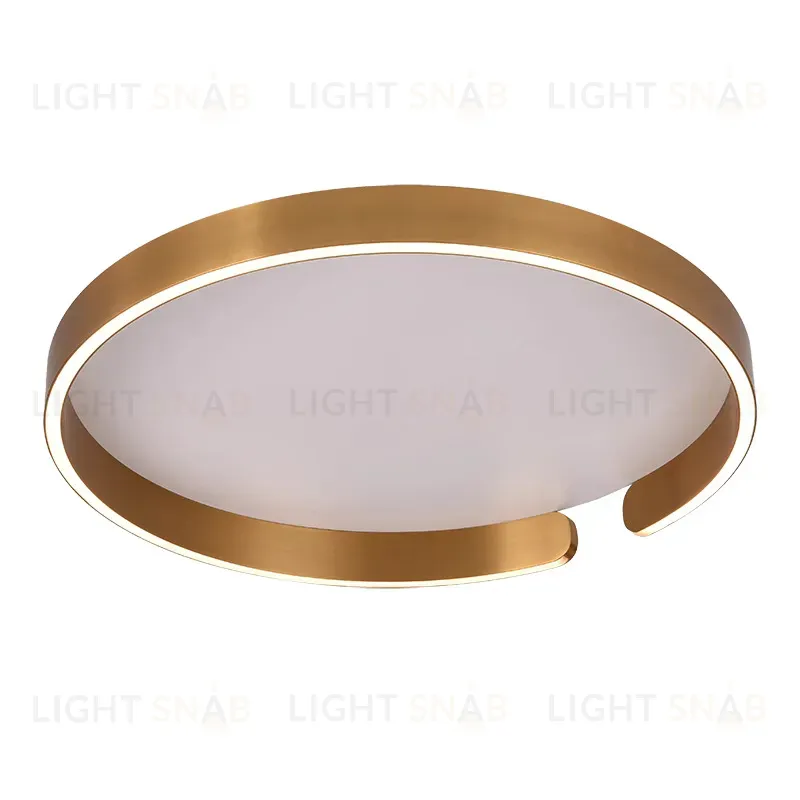 Потолочный светильник OPEN RING PT2939