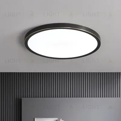 Потолочный светильник COURE LD200902