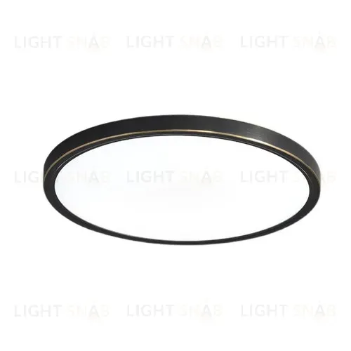 Потолочный светильник COURE LD200902