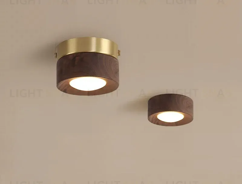 Потолочный светильник GURT PT11528