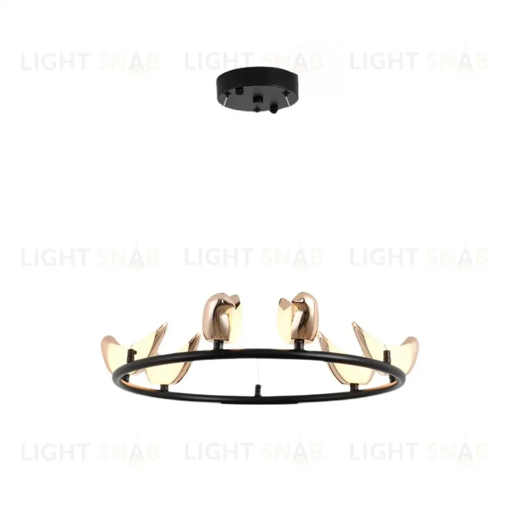 Люстра FLY RICH L11156