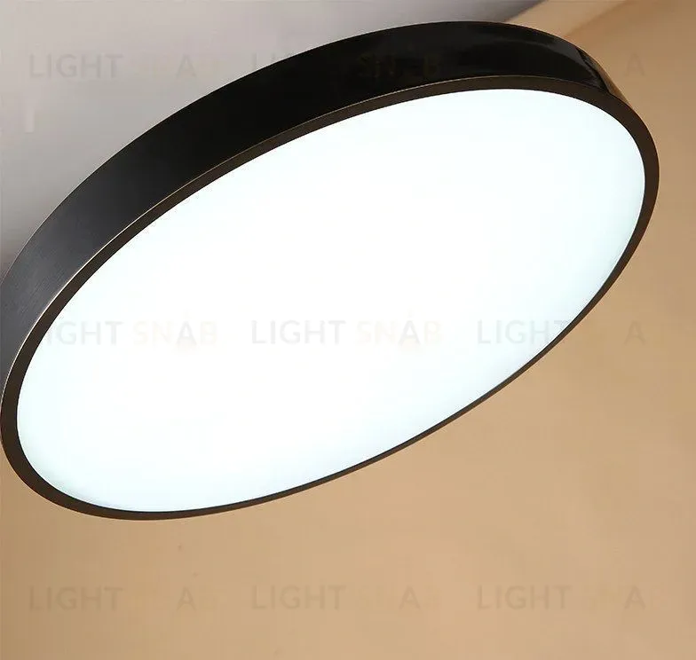 Дизайнерский потолочный светильник MONIC SL-599