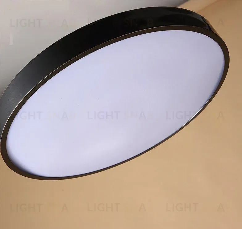 Дизайнерский потолочный светильник MONIC SL-599