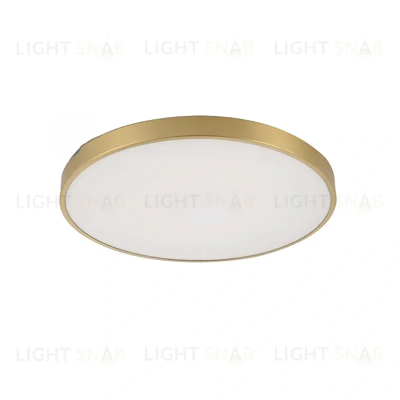 Дизайнерский потолочный светильник MONIC SL-599