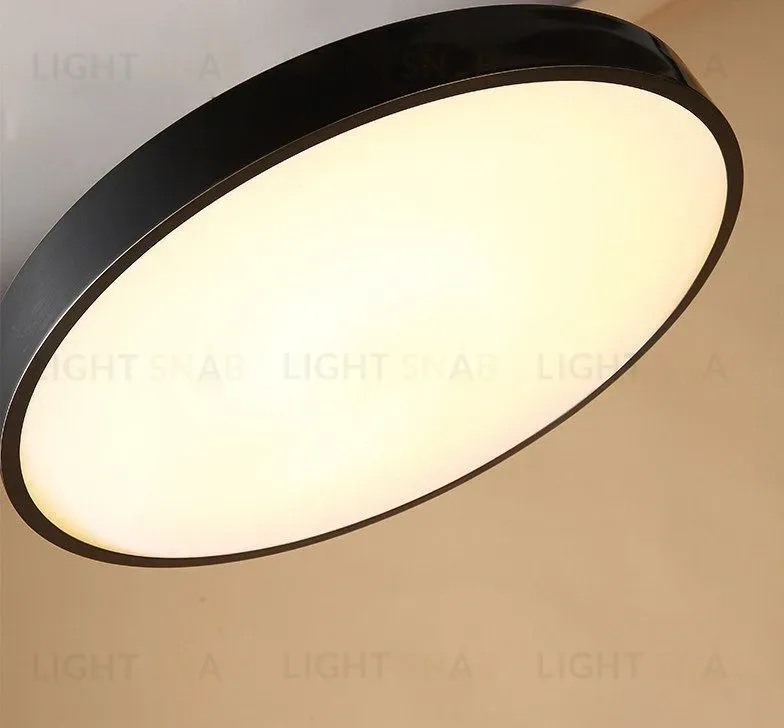 Дизайнерский потолочный светильник MONIC SL-599