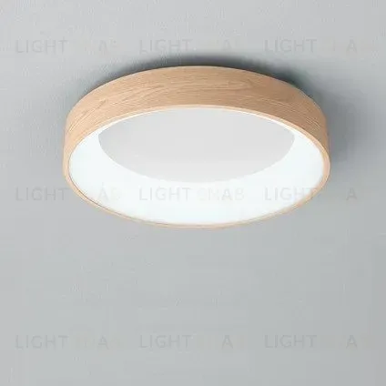 Потолочный светильник EINFACH PT5117