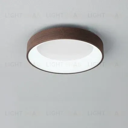 Потолочный светильник EINFACH PT5117