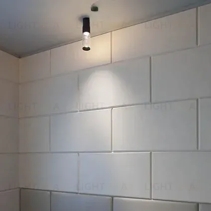 Потолочный светильник EINSAM PT5118