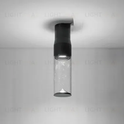 Потолочный светильник EINSAM PT5118