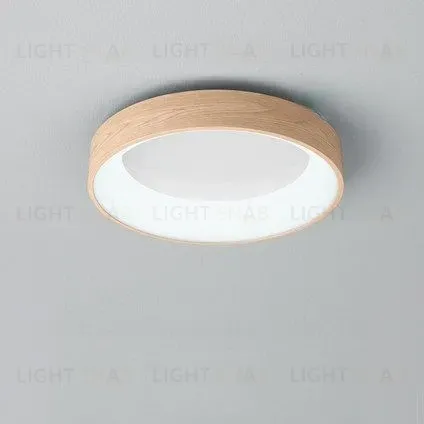 Потолочный светильник EINFACH PT5117