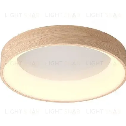 Потолочный светильник EINFACH PT5117