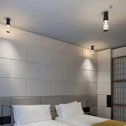 Потолочный светильник EINSAM PT5118