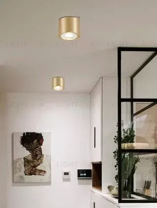 Потолочный светильник LITT PT2957