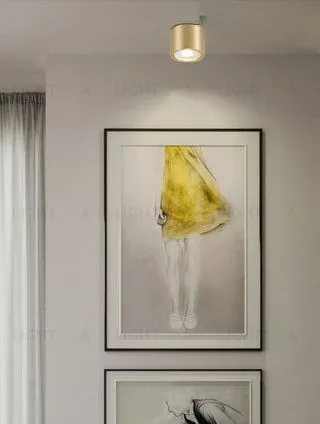 Потолочный светильник LITT PT2957