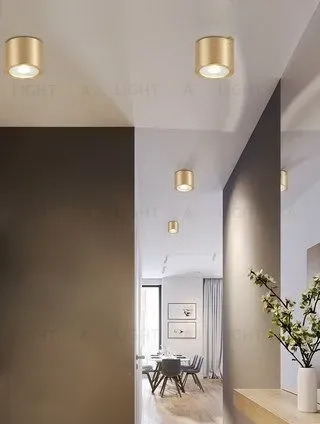 Потолочный светильник LITT PT2957