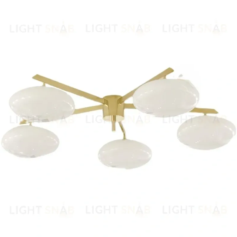 Потолочный светильник FRENCH CONSTELLATION PT2919