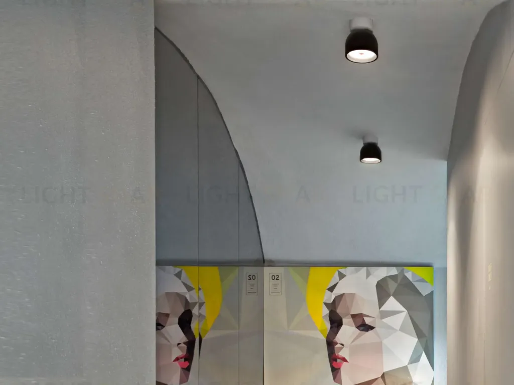 Потолочный светильник WAN by Flos OPT5139