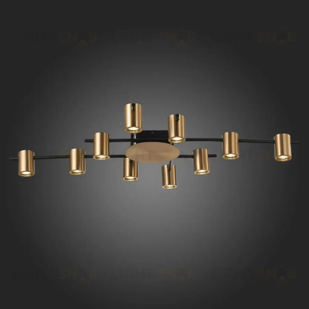  Потолочный светильник VEZOLI  SL1207.402.10