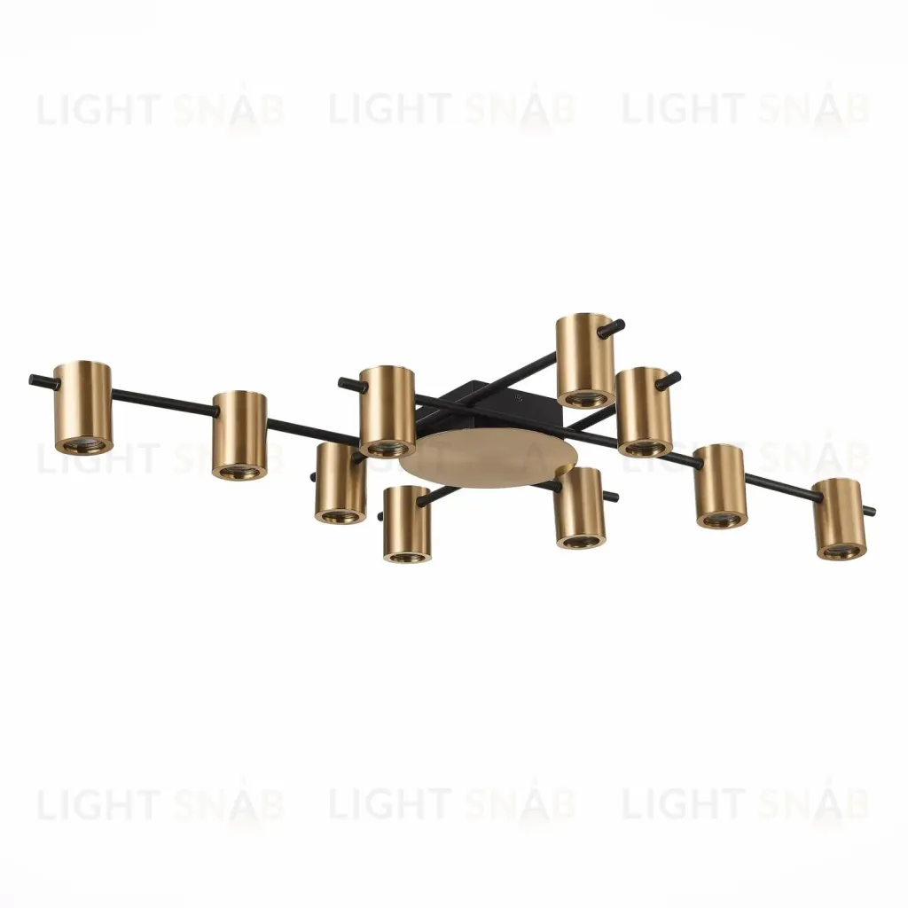  Потолочный светильник VEZOLI  SL1207.402.10