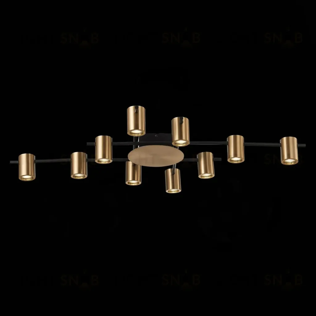  Потолочный светильник VEZOLI  SL1207.402.10