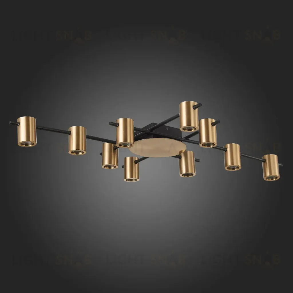  Потолочный светильник VEZOLI  SL1207.402.10