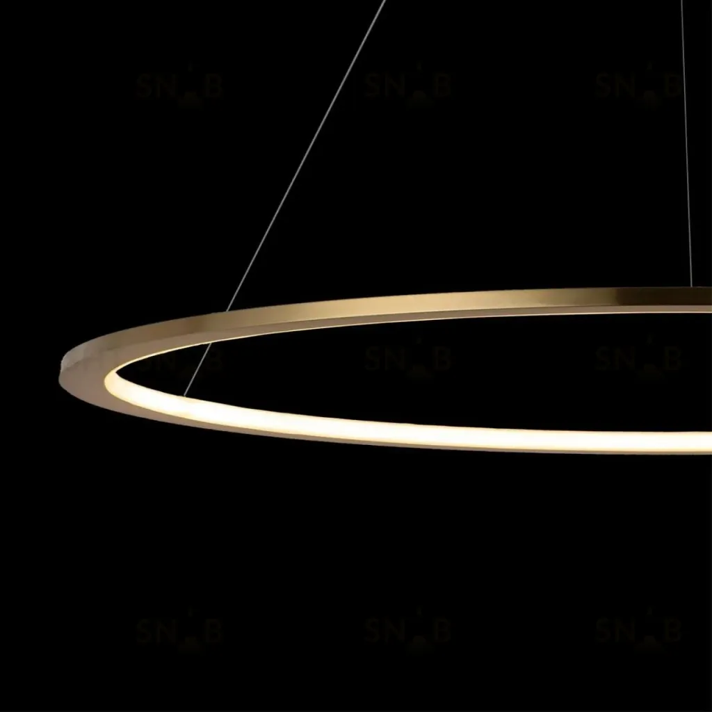 Светильник подвесной Ring Ring 10014L