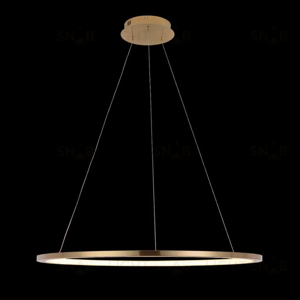 Светильник подвесной Ring Ring 10014L