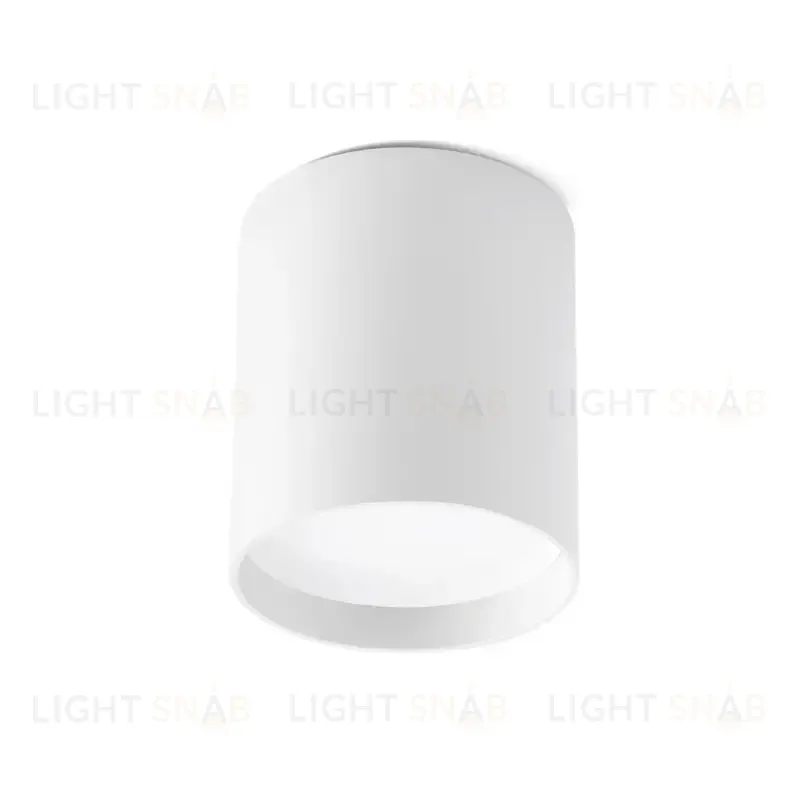 Светильник потолочный Haru white 64206 64206