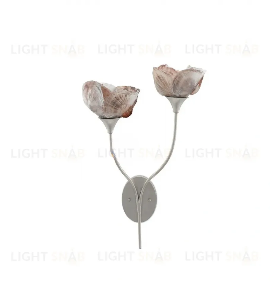 Настенный светильник (Бра) CATRICE by Currey & Company OW299