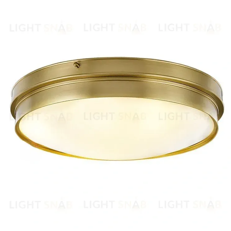 Потолочный светильник Harri PT303