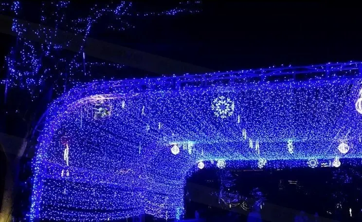 Гирлянда Holiday Л 0013