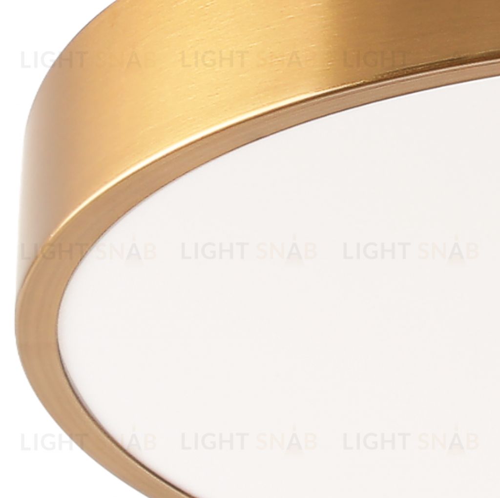 Потолочный светильник Zortes TORTTY ZRS.02566.36, Мощность - 36Вт, Тип лампы:  LED  SMD2835，Оптолинза RIO , В -50мм / Ш - ø300мм ZRS.02566.36