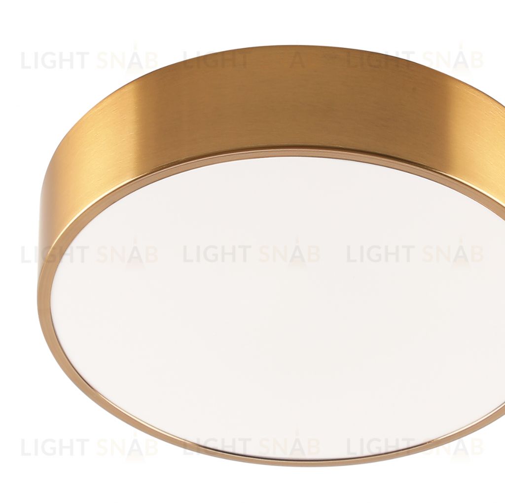 Потолочный светильник Zortes TORTTY ZRS.02566.36, Мощность - 36Вт, Тип лампы:  LED  SMD2835，Оптолинза RIO , В -50мм / Ш - ø300мм ZRS.02566.36