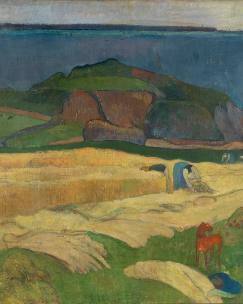 Жикле “Seaside harvest” 20N2085