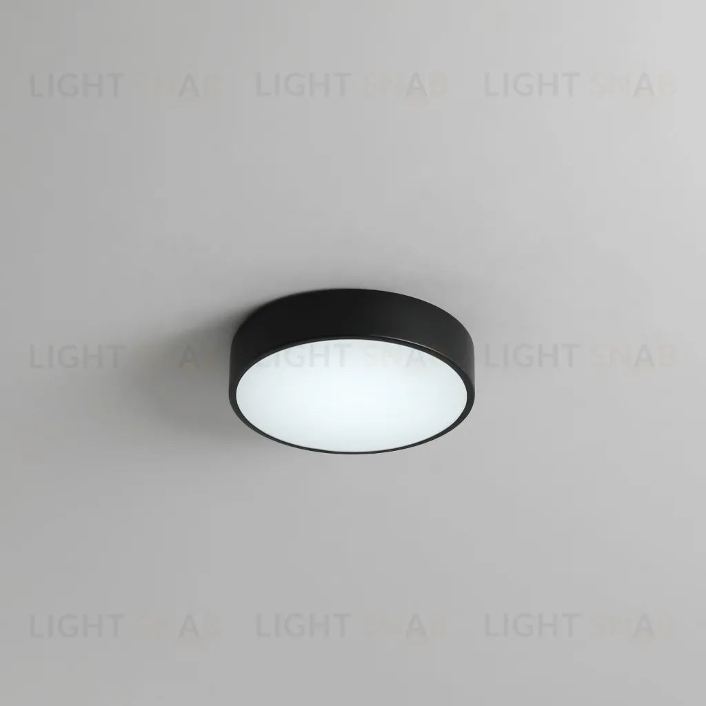 Потолочный светильник Zortes TORTTY ZRS.02563.36, Мощность - 36Вт, Тип лампы:  LED  SMD2835，Оптолинза RIO , В -50мм / Ш - ø300мм ZRS.02563.36
