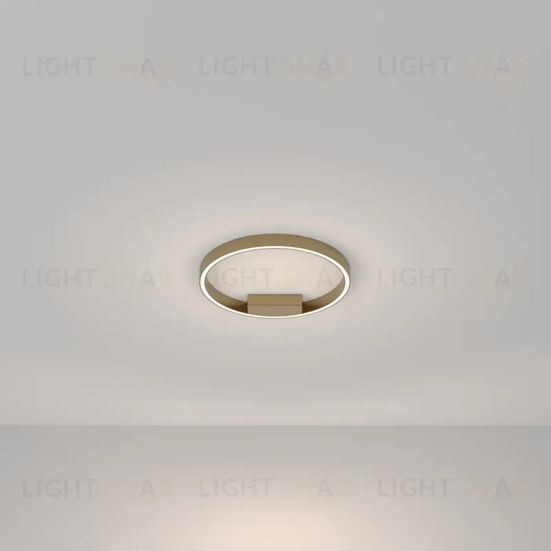 Накладной светильник Maytoni MOD058CL-L25BSK MOD058CL-L25BSK