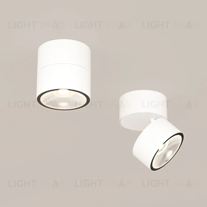 Накладной уличный светильник Maytoni O310CL-L12W3K O310CL-L12W3K
