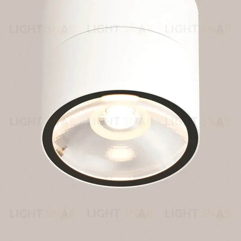 Накладной уличный светильник Maytoni O310CL-L12W3K O310CL-L12W3K