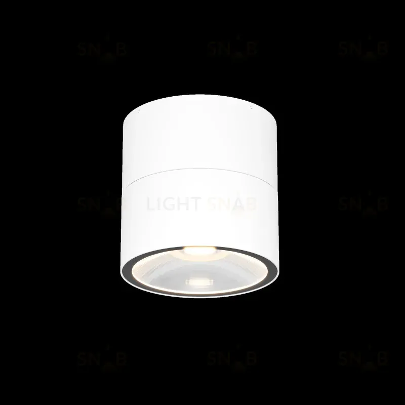 Накладной уличный светильник Maytoni O310CL-L12W3K O310CL-L12W3K
