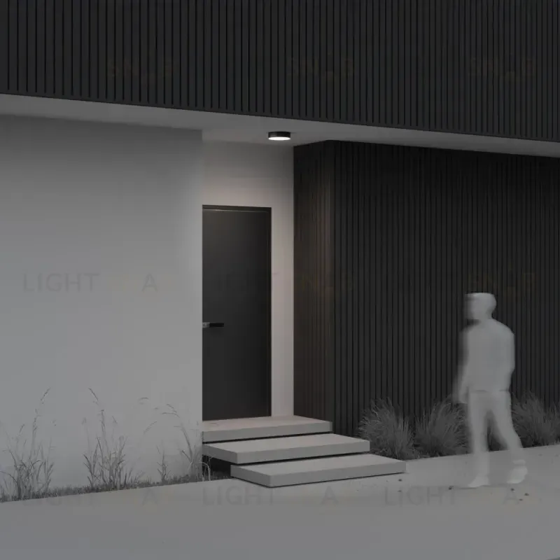 Накладной уличный светильник Maytoni O431CL-L30B4K O431CL-L30B4K