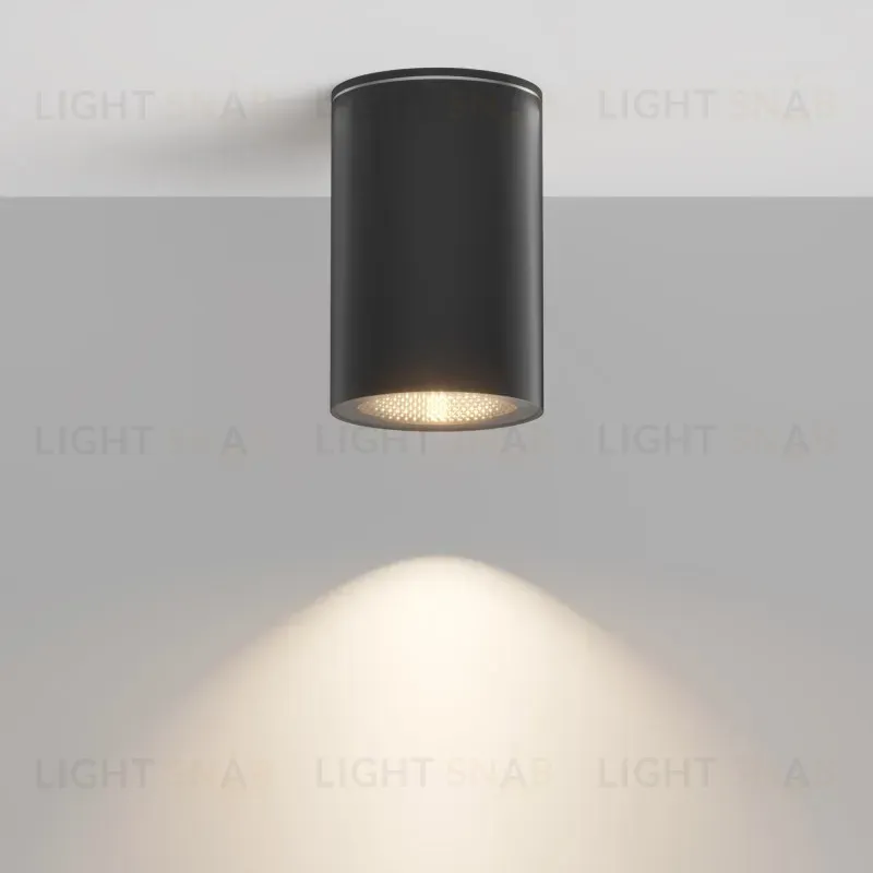 Накладной уличный светильник Maytoni O307CL-01B O307CL-01B