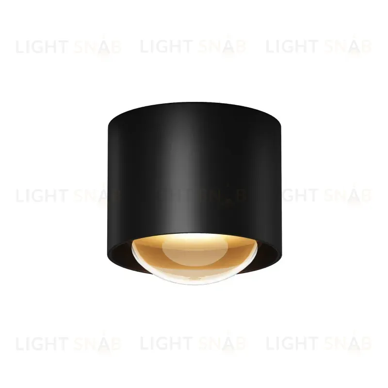 Накладной уличный светильник Maytoni O498CL-L15B3K 