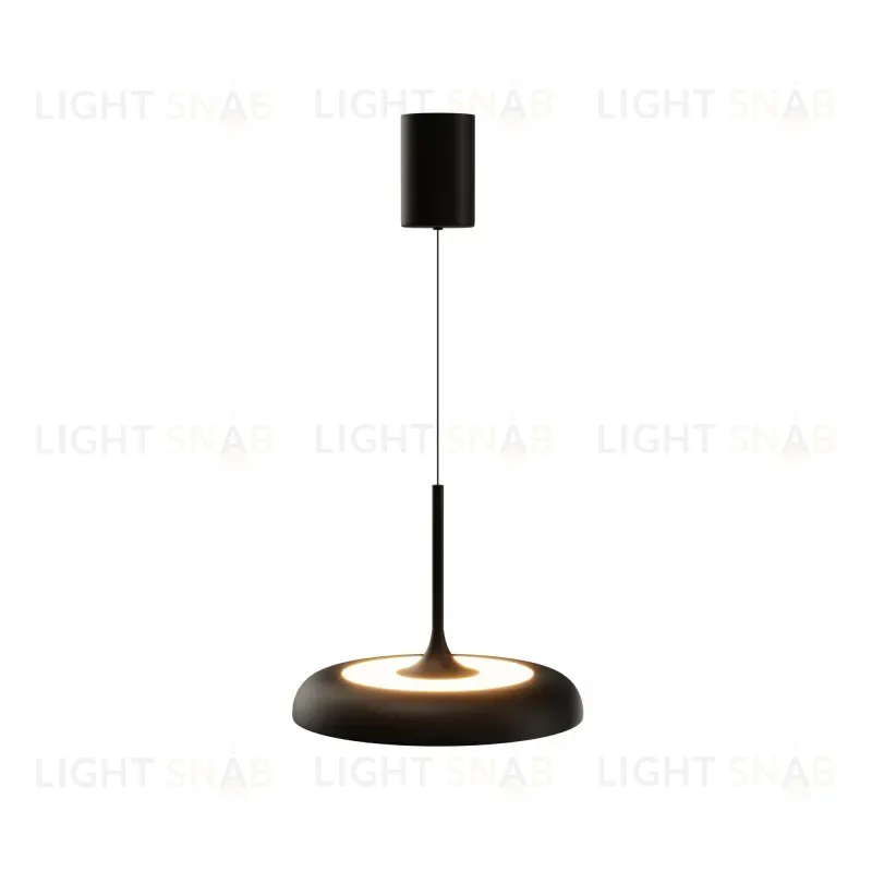 Подвесной светильник Maytoni MOD189PL-L39B3K 